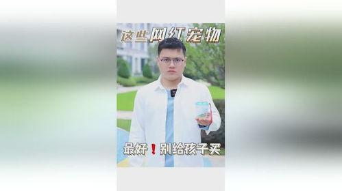 别给孩子买网红宠物,为孩子选择健康陪伴